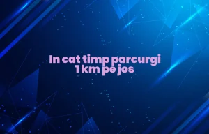 in cat timp parcurgi 1 km pe jos