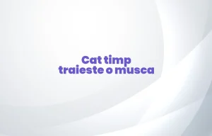 cat timp traieste o musca