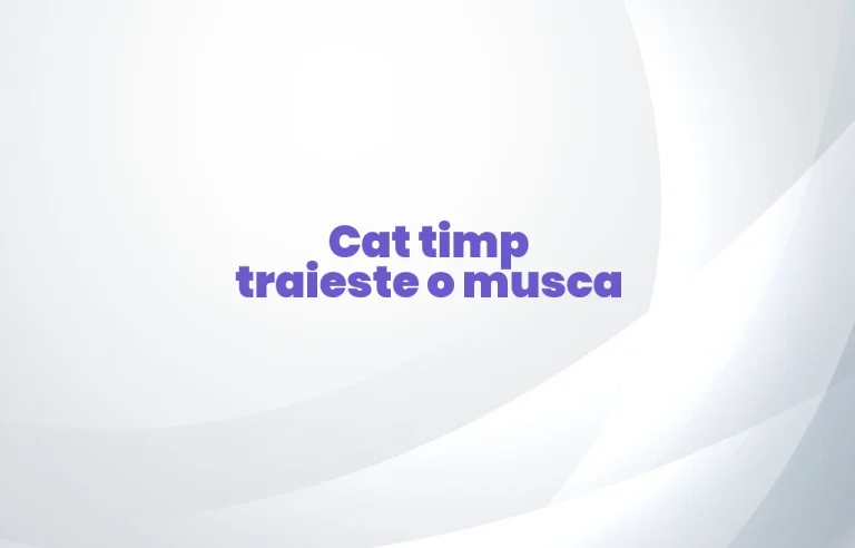 cat timp traieste o musca