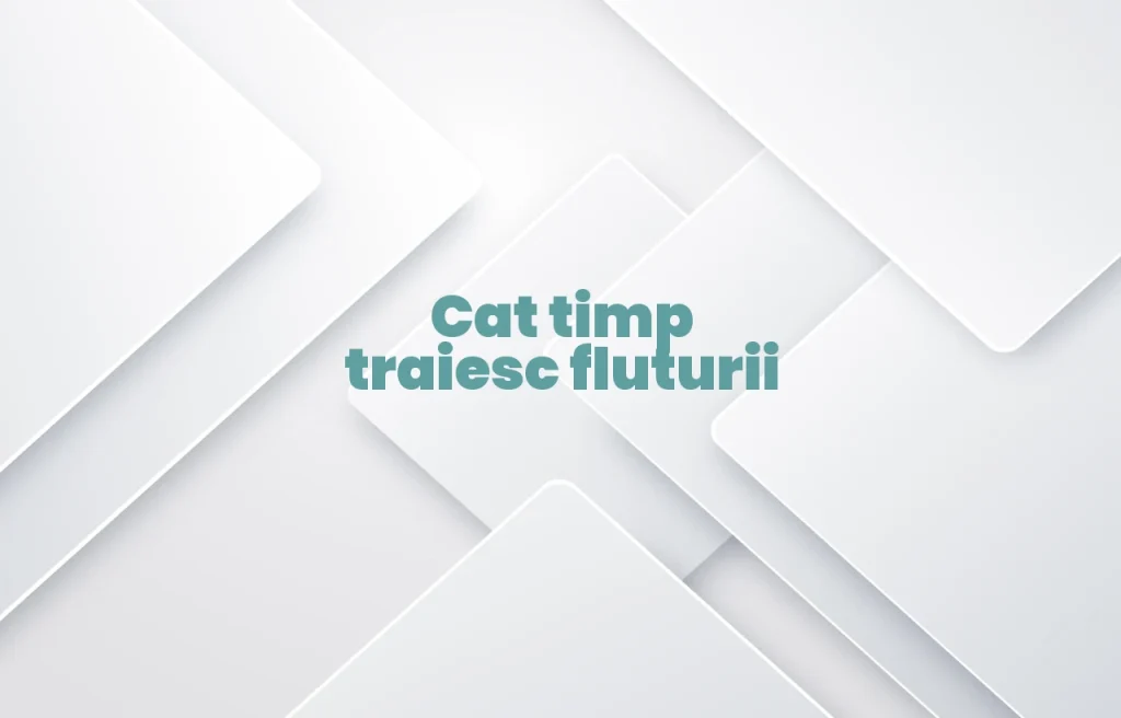 cat timp traiesc fluturii