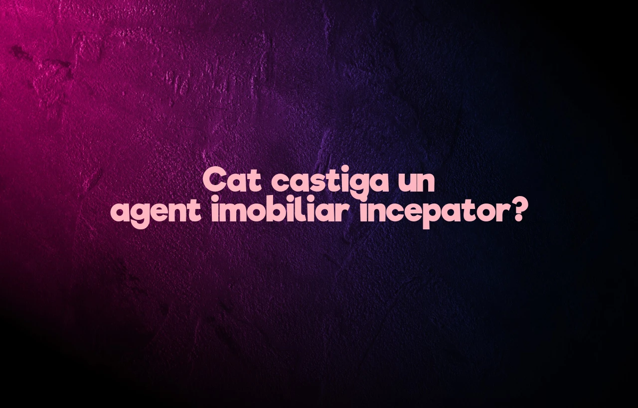 cat castiga un agent imobiliar incepator