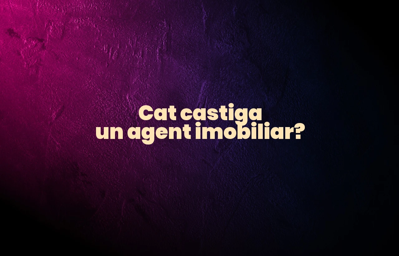 cat castiga un agent imobiliar