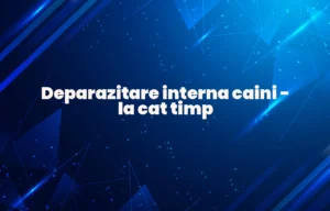 deparazitare interna caini la cat timp