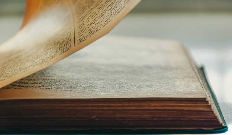 curriculum vitae europass