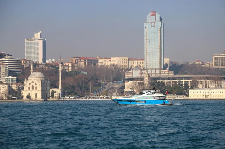 Cod Caen 8299 alte activitati de servicii suport pentru intreprinderi nca