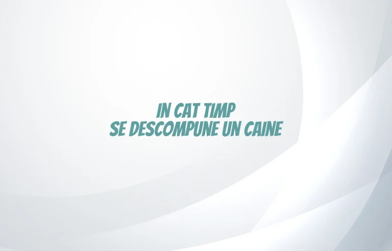 in cat timp se descompune un caine