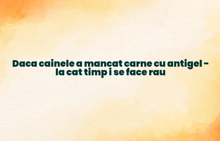 daca cainele a mancat carne cu antigel la cat timp i se face rau